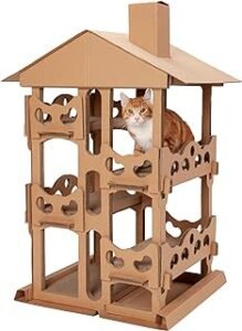 cat home